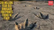 210-Million-Year-Old Dinosaur Herd Footprints Found in Italian Alps Ahead of 2026 Olympics