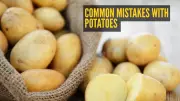 3 Common Potato Mistakes Making You Sick: Expert Reveals Fixes