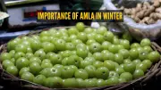 5 Foods to Pair with Amla This Winter for Immunity & Taste