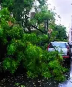 65-Year-Old Man Killed in Jamui as Truck Hits Tree During Shraddh Ritual