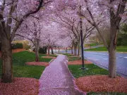 8 Hidden Indian Villages Offering Unforgettable Travel Experiences