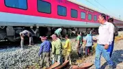 94 Elephant Deaths by Trains Since 2019: Assam Accident Highlights Crisis