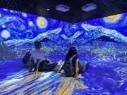 Ahmedabad's December Arts Scene: Gurudas Shenoy, Darpana & Van Gogh Immersive