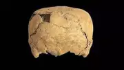 Ancient Cube-Shaped Skull Found in Mexico Reveals New Cultural Practice