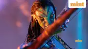 Avatar 3 Release Date, Cast & Plot: All About Fire and Ash