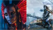 Avatar 3 vs Dhurandhar: Hollywood Epic Stumbles on Weekdays After Strong Start