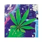 Ballari Central Jail: Ganja Smuggled Inside Tape-Wrapped Balls Thrown Over Wall