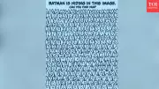 Batman Optical Illusion: Find Hidden Hero in Crowd of Bats