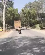 Bengaluru: 15km Truck Chase After Hit-and-Run Injures 4, Damages 6 Vehicles