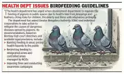 Bengaluru's Pigeon Menace: Govt Denies Risk, Doctors Report Rising Lung Diseases