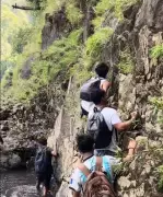 Bhimgad ESZ Violations Continue: Tourists Risk Lives, Wildlife at Vajrapoha Falls