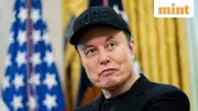 Big Tech's Political Power Grab: How 'Broligarchs' Like Musk Shape Democracy