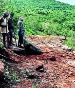 Bihar's 'Bachelor Village' on Tourism Map Highlights Infrastructure Crisis