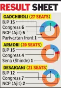 BJP Sweeps Gadchiroli Civic Polls, Wins All 3 Council President Posts