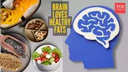 Brain Health: Why 60% of Your Brain Needs Healthy Fats Daily