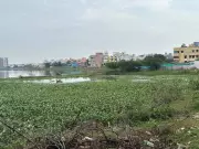 Chennai's 43 Crore Retteri Lake Reservoir Project Stalled for 2 Years