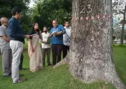 Chennai's Century-Old Trees to Get Heritage Status via Scientific ERT Scans