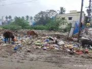 Chennai's Moovar Nagar Playground Turns Illegal Dumpyard, Sparks Health Crisis