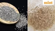 Chia Seeds vs Isabgol: Fortis Doctor Says This Indian Superfood Can Beat Bloating