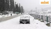 Chillai Kalan Begins: J&K Sees First Snowfall, Boosts Tourism Hopes