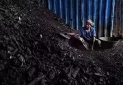 Coal India Board Clears IPOs for MCL & SECL, Stock Jumps 3.5%