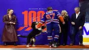 Connor McDavid: The NHL Superstar Forged by Family Support & Stunning Records