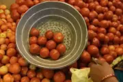 Cyclone Ditwah to Push Tomato Prices Past ₹100 in Andhra Pradesh
