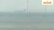 Delhi Fog Chaos: Over 200 Flights Cancelled, Airport Issues Advisory