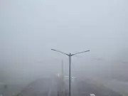 Delhi's 50% WFH Order Sparks Confusion, Patchy Implementation