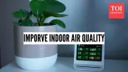 Delhi's Hazardous Air: Expert Tips to Improve Indoor Air Quality