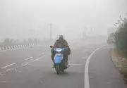 Dense Fog Grips Punjab & Himachal, Temperatures Plummet to 4.8°C