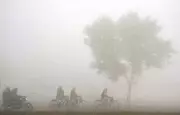 Dense Fog Grips Punjab, Haryana, Himachal; Zero Visibility at Airports