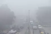 Dense Fog Paralyzes Jind, Rohtak; Accidents Spike, Visibility Near Zero