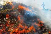 DPCC Reports Illegal Waste Dumping & Burning in Mundka to NGT