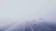 Driving in Dense Fog: 7 Essential Precautions to Prevent Accidents