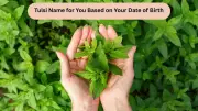 Find Your Sacred Tulsi Name Based on Birth Number & Date