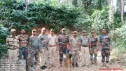German Shepherd Stella Sniffs Out Snares, Saves Tigers in Kodagu Coffee Estates