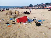 Goa's Peak Season Crisis: Garbage Piles Up on Beaches, Shack Owners Protest