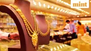 Gold Prices Soar 70% But Jewellery Stocks Crash: Key Reasons & Outlook