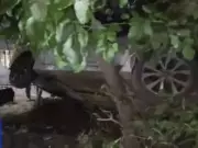 Gurgaon: Two Accidents on NH-19 After Car Overturns Near Sector 28 Metro