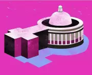 HC Issues Notice on Plea for 33% Women Quota in Andhra Advocates' Body