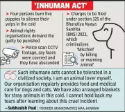 Howrah Horror: 5 Puppies Burned Alive, Locals Demand Justice