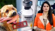 India Rejects Claims as US, UK, Australia Warn of Counterfeit Rabies Vaccine