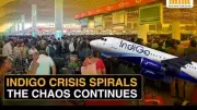 IndiGo Aims for Normalcy by Feb 10 Amid Crew Shortage Crisis; 550 Flights Cancelled