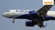 IndiGo Crisis: Over 200 Flights Cancelled, DGCA Probes Operational Meltdown