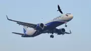 IndiGo Loses 2% Market Share in Nov 2025; Air India, SpiceJet Gain