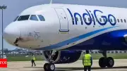 IndiGo's Market Share Dips to 63.6% in November as Rivals Gain Ground