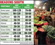 Jaipur Vegetable Prices Plummet as Winter Harvest Floods Muhana Mandi