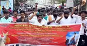 Jallikattu Organizers Demand Large Screens for Transparent Scoring, Govt Jobs for Victims