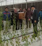 Japanese Tech Boosts Indian Veggies: 40% Yield Rise in Kanpur Trials